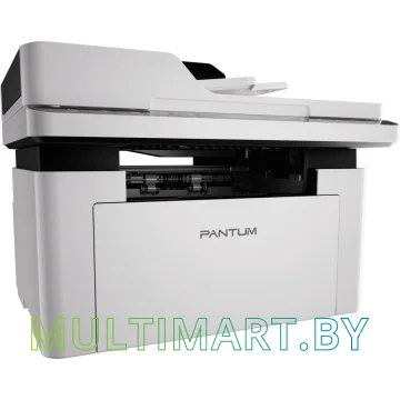 МФУ Pantum BM2300A картинка 3